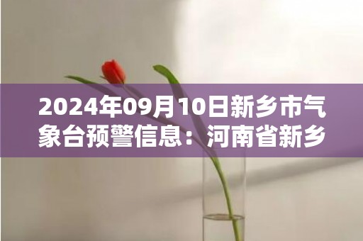 2024年09月10日新乡市气象台预警信息：河南省新乡市发布大风蓝色预警