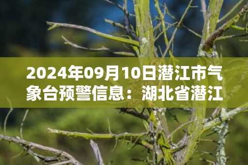 2024年09月10日潜江市气象台预警信息：湖北省潜江市发布高温橙色预警