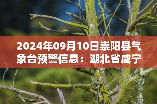 2024年09月10日崇阳县气象台预警信息：湖北省咸宁市崇阳县发布高温橙色预警