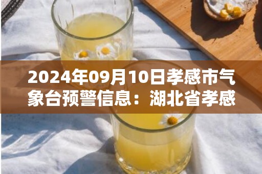 2024年09月10日孝感市气象台预警信息：湖北省孝感市发布高温黄色预警