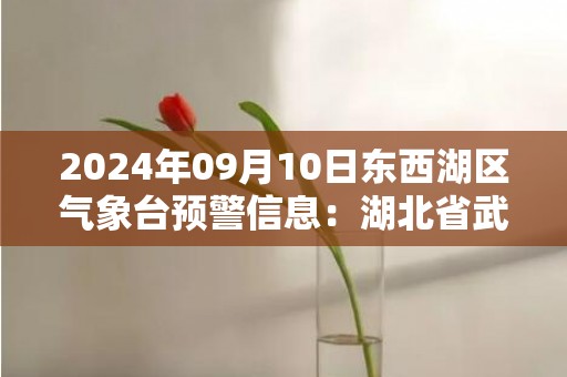 2024年09月10日东西湖区气象台预警信息：湖北省武汉市东西湖区发布高温橙色预警