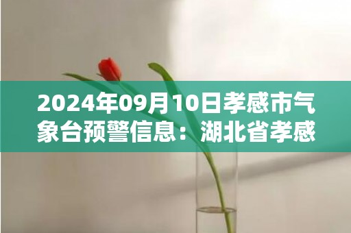 2024年09月10日孝感市气象台预警信息：湖北省孝感市发布高温橙色预警