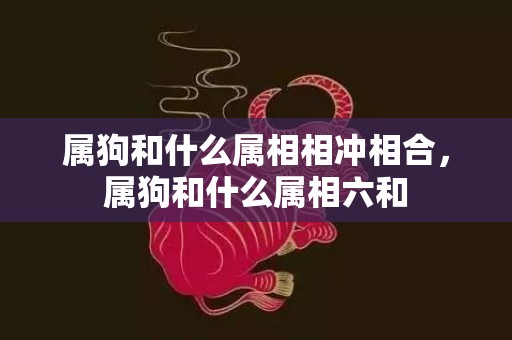 属狗和什么属相相冲相合，属狗和什么属相六和