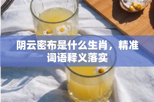 阴云密布是什么生肖，精准词语释义落实