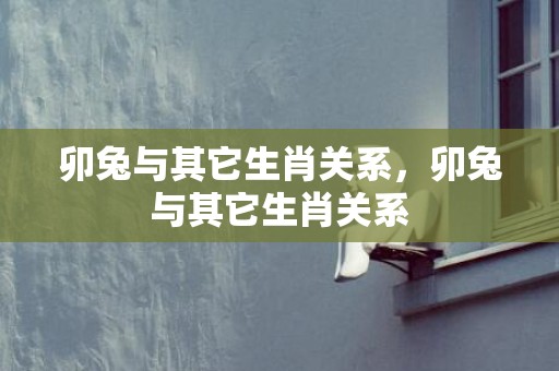 卯兔与其它生肖关系，卯兔与其它生肖关系