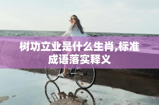 树功立业是什么生肖,标准成语落实释义