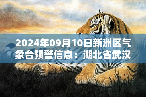 2024年09月10日新洲区气象台预警信息：湖北省武汉市新洲区发布高温橙色预警