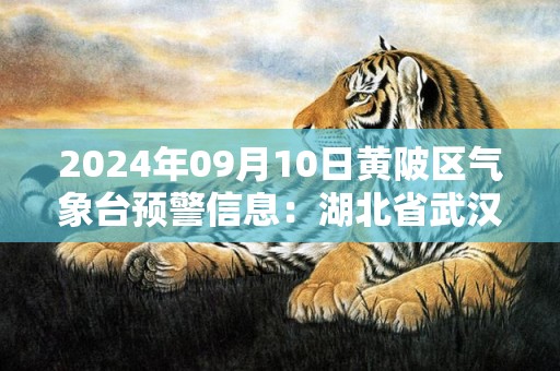 2024年09月10日黄陂区气象台预警信息：湖北省武汉市黄陂区发布高温橙色预警