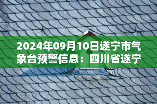 2024年09月10日遂宁市气象台预警信息：四川省遂宁市发布雷电黄色预警