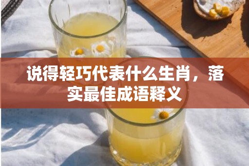 说得轻巧代表什么生肖，落实最佳成语释义