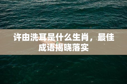 许由洗耳是什么生肖，最佳成语揭晓落实