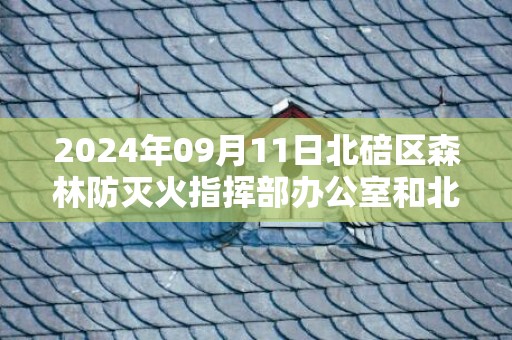 2024年09月11日北碚区森林防灭火指挥部办公室和北碚区气象灾害防御指挥部办公室预警信息：重庆市北碚区发布森林草原火险红色预警