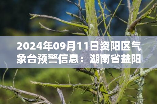 2024年09月11日资阳区气象台预警信息：湖南省益阳市发布大风蓝色预警