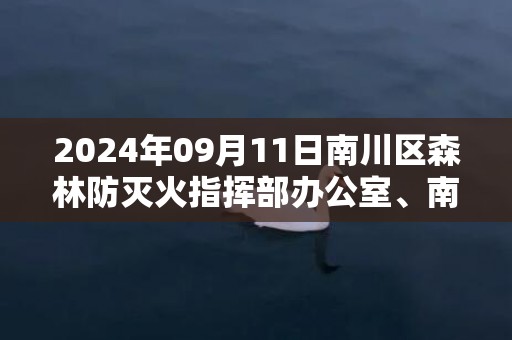 2024年09月11日南川区森林防灭火指挥部办公室、南川区林业局、南川区气象局预警信息：重庆市南川区发布森林草原火险红色预警