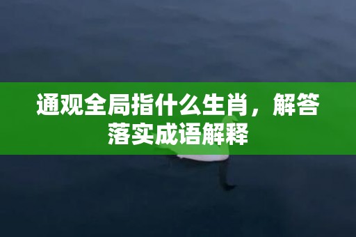 通观全局指什么生肖，解答落实成语解释