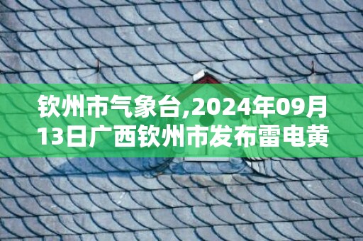 钦州市气象台,2024年09月13日广西钦州市发布雷电黄色预警