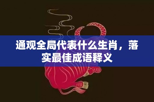 通观全局代表什么生肖，落实最佳成语释义