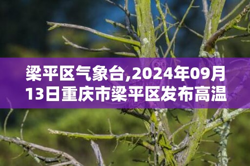 梁平区气象台,2024年09月13日重庆市梁平区发布高温橙色预警