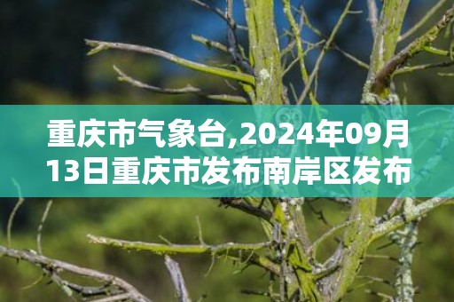 重庆市气象台,2024年09月13日重庆市发布南岸区发布南岸区高温橙色预警