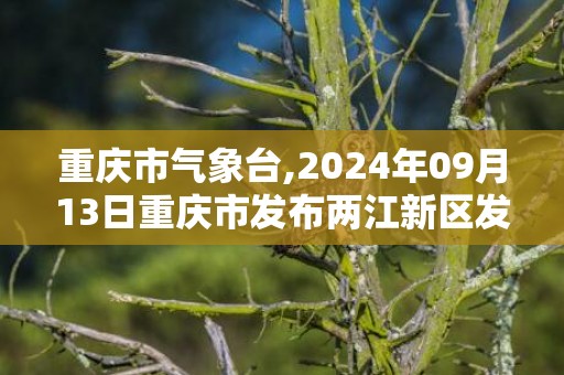 重庆市气象台,2024年09月13日重庆市发布两江新区发布两江新区高温橙色预警