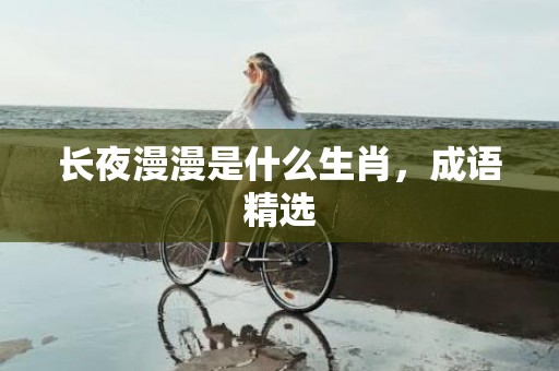 长夜漫漫是什么生肖，成语精选