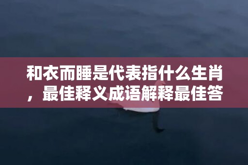 和衣而睡是代表指什么生肖，最佳释义成语解释最佳答