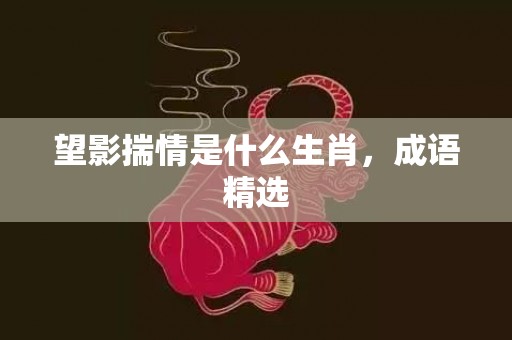 望影揣情是什么生肖，成语精选