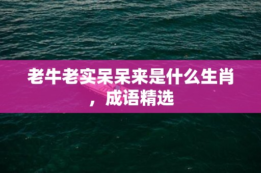 老牛老实呆呆来是什么生肖，成语精选