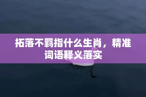 拓落不羁指什么生肖，精准词语释义落实