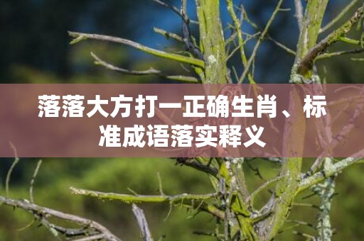 落落大方打一正确生肖、标准成语落实释义