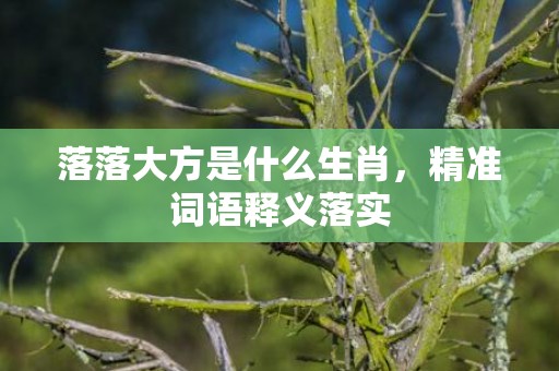 落落大方是什么生肖，精准词语释义落实