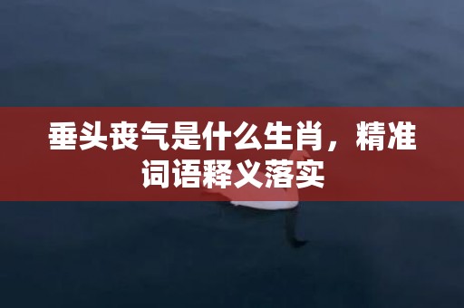 垂头丧气是什么生肖，精准词语释义落实