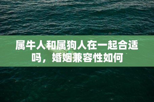 属牛人和属狗人在一起合适吗，婚姻兼容性如何