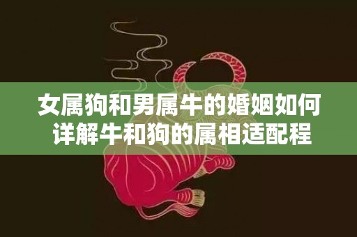 女属狗和男属牛的婚姻如何 详解牛和狗的属相适配程度