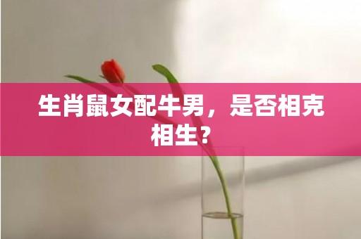 生肖鼠女配牛男，是否相克相生？