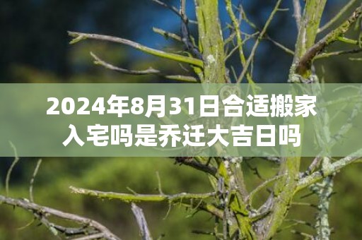 2024年8月31日合适搬家入宅吗是乔迁大吉日吗