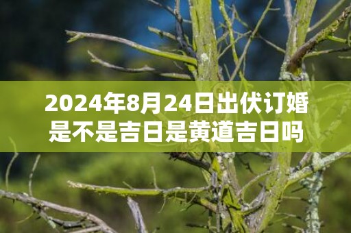 2024年8月24日出伏订婚是不是吉日是黄道吉日吗