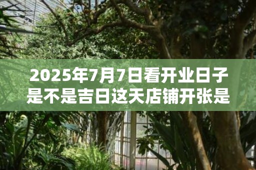 2025年7月7日看开业日子是不是吉日这天店铺开张是不是吉日