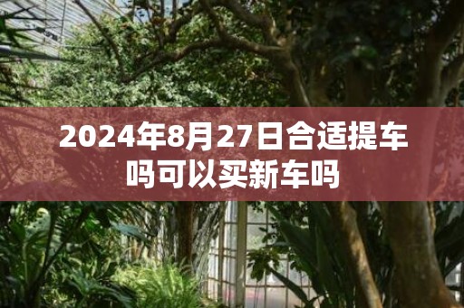 2024年8月27日合适提车吗可以买新车吗