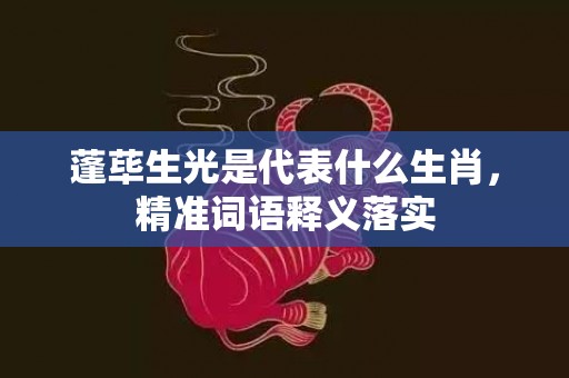 蓬荜生光是代表什么生肖，精准词语释义落实