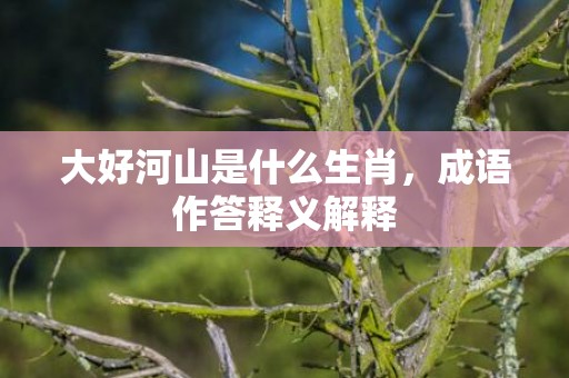 大好河山是什么生肖，成语作答释义解释