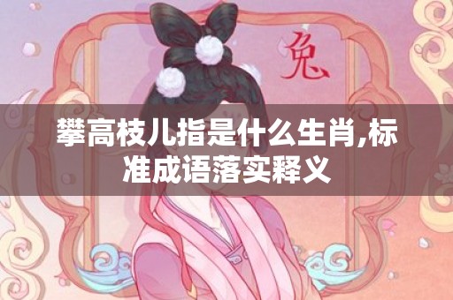 攀高枝儿指是什么生肖,标准成语落实释义