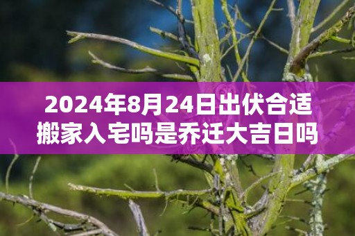 2024年8月24日出伏合适搬家入宅吗是乔迁大吉日吗