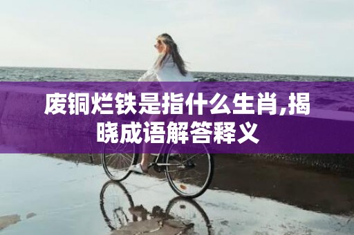 废铜烂铁是指什么生肖,揭晓成语解答释义