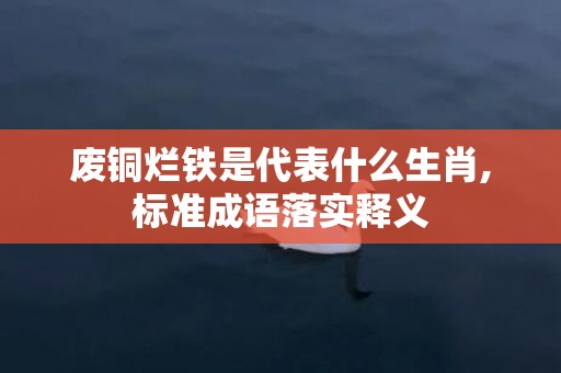 废铜烂铁是代表什么生肖,标准成语落实释义