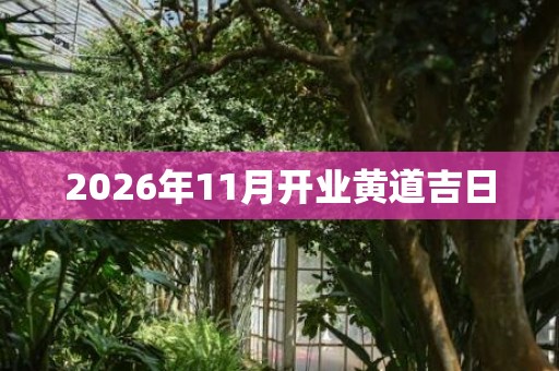 2026年11月开业黄道吉日