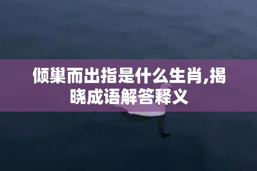 倾巢而出指是什么生肖,揭晓成语解答释义