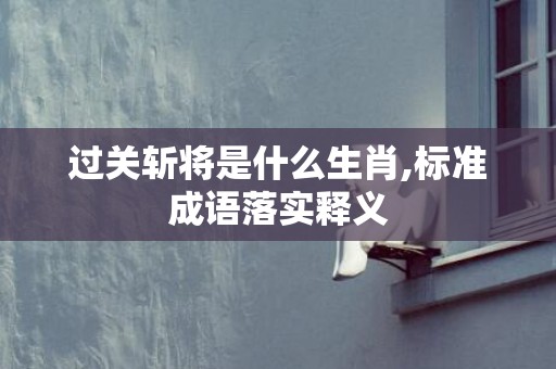 过关斩将是什么生肖,标准成语落实释义