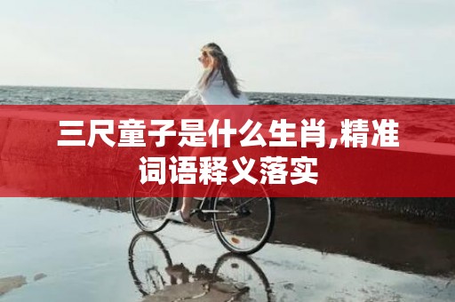 三尺童子是什么生肖,精准词语释义落实