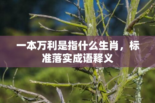 一本万利是指什么生肖，标准落实成语释义